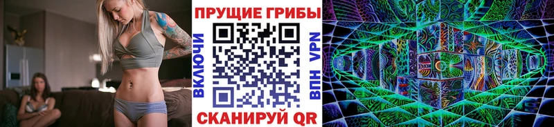 купить наркотики сайты Буй Псилоцибиновые грибы Cubensis